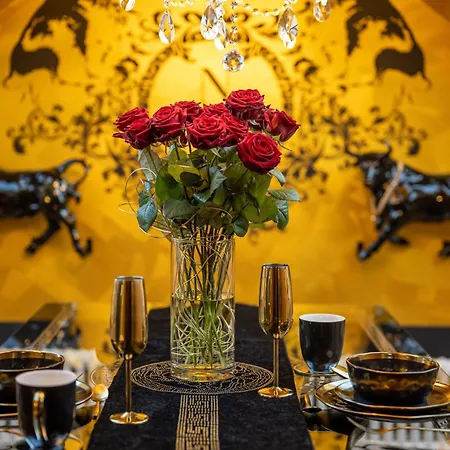 N Vogue - Aussergewoehnliche In Zentrumsnaehe Drezno