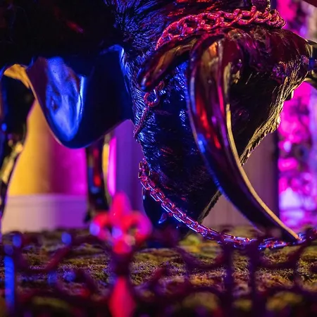 N Vogue - Aussergewoehnliche In Zentrumsnaehe דרזדן